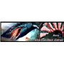 Aerocool Shark - Ventilateur pour PC (12 cm, 12V/7V, 15 pales, 14.5 dBA, 1500rpm, éclairage LED Orange, ultrasilent, Anti-Vibrat