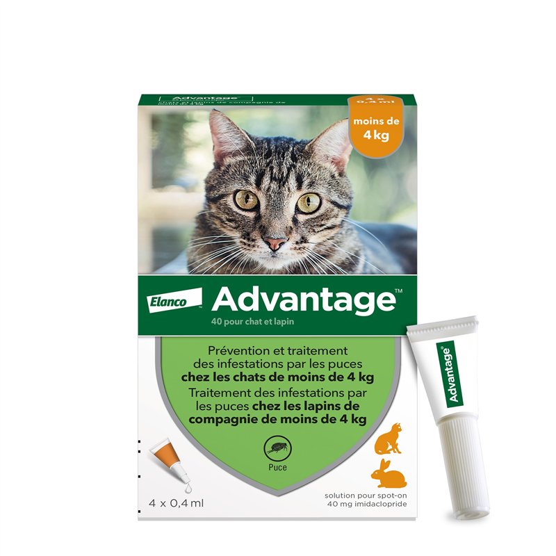 Advantage Chat & Lapin de moins de 4 kg – Pipettes anti puces chat pour prévention des infestations – Traitement anti puces avec