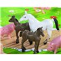 Eichhorn - 100004304 - Petite ferme en Bois - 21 pièces