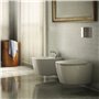 Ideal Standard A4268AA 7851038 Mélange Mitigeur à levier simple de bidet avec garniture 113 mm Chromé