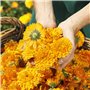 WELEDA - Huile de Massage Douceur - Eveil et soin - Pour le soin et le massage des bébés et des jeunes enfants - Natrue* - Bio -