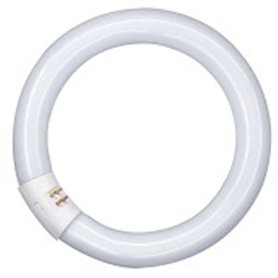 Osram AA408170155-circulaire Tube Fluorescent/l32 865-32w