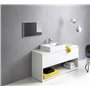 hansgrohe Focus Focus 100 Mitigeur de lavabo sans tirette ni vidage bas débit, chromé, 31513000