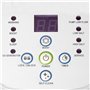 Intex sterilisateur au sel / ozonateur