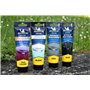MICHELIN 009470 Expert Efface Rayures Carrosserie de Voiture Blanche, 100 ml