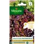Vilmorin 3609842 Pack de Graines Laitue à Couper Salade Bol Rouge + Echantillon Laitue à Couper Grenadine