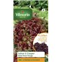Vilmorin 3609842 Pack de Graines Laitue à Couper Salade Bol Rouge + Echantillon Laitue à Couper Grenadine