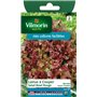 Vilmorin 3609842 Pack de Graines Laitue à Couper Salade Bol Rouge + Echantillon Laitue à Couper Grenadine