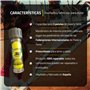 PASCAL BOX - Le seul système de pressurisation complet et de haute précision pour les balles de tennis, de padel et de frontenis