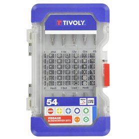 Tivoly 11501570040 Coffret d'Embouts de Vissage , Gris, 25/50mm, Set de 54 Pièces