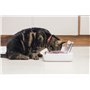 Sure PetCare | Bol hermétique pour Chats et Petits Chiens SureFeed, Couvercle activé par Le Mouvement, pour Aliments humides et 