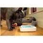 Sure PetCare | Bol hermétique pour Chats et Petits Chiens SureFeed, Couvercle activé par Le Mouvement, pour Aliments humides et 