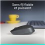 Logitech B170 Souris sans Fil, 2,4 GHz avec Nano-Récepteur, Suivi Optique, Batterie Longue Durée 12 Mois, Ambidextre, Compatible
