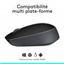 Logitech B170 Souris sans Fil, 2,4 GHz avec Nano-Récepteur, Suivi Optique, Batterie Longue Durée 12 Mois, Ambidextre, Compatible