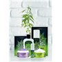 Nuei Oh Holy Mary Cannabis Crème Crème Vert 100 ml