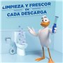 Canard - Disques de toilette actifs Pack 5 aplicadores