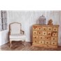 XYLOPHÈNE - Traitement Bois Intérieur - Meubles/Objets/Parquets - Réparation du Bois - Anti Insecticide & Termites - Traitement 