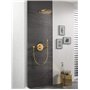 GROHE Rainshower – Cosmopolitan 310 ensemble Douche murale 9,5 montage au mur Brushed Cool Sun