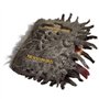 La Noble Collection Le Livre des Monstres en Peluche