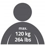 RIDDER Assistant A0243301 poignée d'aspiration de Voyage avec 2 ventouses Premium 33 cm Blanc