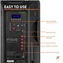 Fenton FT12LED Enceinte Sono Portable LEDs Bluetooth avec Batterie Intégrée - 700 Watts, Modes Lumineux, 12 Pouces, Télécommande