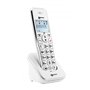 Geemarc Pack Senior - Téléphone Fixe Amplifié et Ses Combinés Additionnels avec Répondeur et Larges Touches Photo Personnalisabl