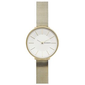 Skagen Horloge SKW2722