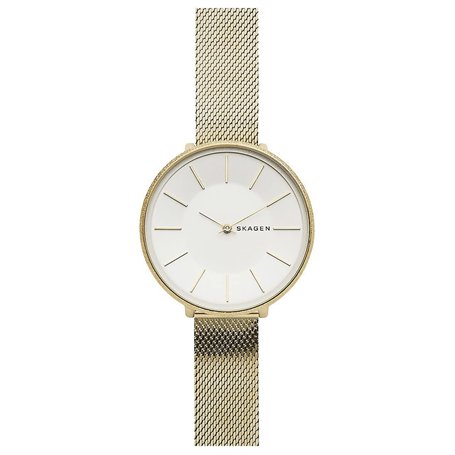 Skagen Horloge SKW2722