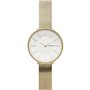 Skagen Horloge SKW2722