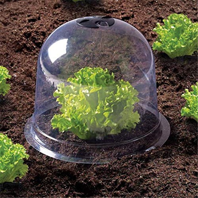 Image secondaire de IDMarket - Cloche à salades x12 Serre de Protection pour Plants