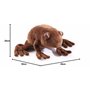 Peluche et Coussin Harry Potter Chocogrenouille
