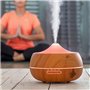 SHOP-STORY - Diffuseur Huiles Essentielles 300ml Humidificateur d'Air Brume Fraîche Arôme Parfum Electrique avec 14 Couleurs Cha
