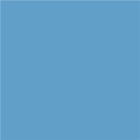 25 cartes monoruvides 220 g/m² format 70 x 100 couleur bleu primaire.