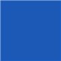 25 cartes monoruvides 220 g/m² format 70 x 100 couleur bleu roi