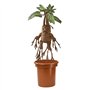 The Noble Collection Mandrake Interactive Plush by Officially Licensed 14in (35cm) Harry Potter Toy Dolls Mandrake Plush & Plant