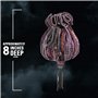 The Noble Collection Hermione Granger Bag - 8in (20cm) Purple Hermione Bag - Officially Licensed Harry Potter Film Set Movie Toy