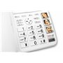Geemarc Amplidect 595 Combi - Téléphone Filaire Amplifié et Son Combiné Additionnel avec Répondeur, Gros Boutons et Fonction SOS