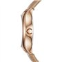 Fossil Analogique BQ1596IE