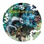 Harry Potter - Puzzles