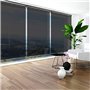 IDMarket - Lot de 2 Stores enrouleurs tamisants L.124 x H. 225 CM pour pergola Noir