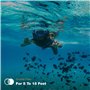 PolarPro - DiveMaster - pour HERO 9/10/11/12 Black - Boîtier de protection - Rapidement et en toute sécurité - Capturez des coul
