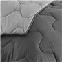 IDMarket - Couette 140x200 CM Abby Bicolore Gris Clair et Gris 300 GR