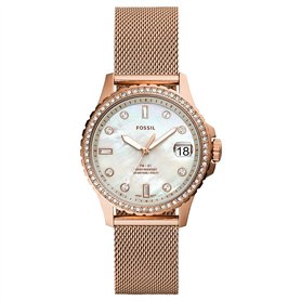 Fossil Watch ES4999
