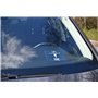 Color Pop 550044 Kit Complet Jeune conducteur : Porte papiers de Voiture, Constat, Vignette Assurance, Disque de stationnement, 