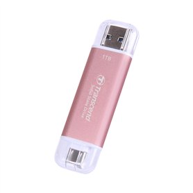 Transcend SSD Portable ESD310P 1TO, 10 Gbit/s, Type-A/Type-C Compatible avec PS4/PS5 – TS1TESD310P