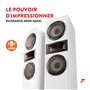 Fenton SHF700W Enceinte HiFi Colonne - Blanc, Puissance de 400 W Max, Woofer 2X 6,5 Pouces, Technologie 3 Voies, Borniers à Vis 