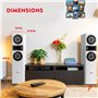 Fenton SHF700W Enceinte HiFi Colonne - Blanc, Puissance de 400 W Max, Woofer 2X 6,5 Pouces, Technologie 3 Voies, Borniers à Vis 