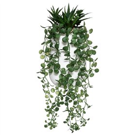 JJA Composition Plante GRASSE RETOMBANTE 33CM