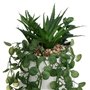 JJA Composition Plante GRASSE RETOMBANTE 33CM