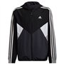 adidas CB Wnd Br Top à Capuche, Carbon/Black/MGH Solid Grey, 164 cm Mixte Enfant